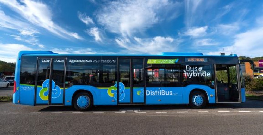 distribus saint-louis