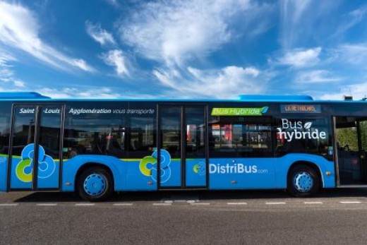 distribus saint-louis